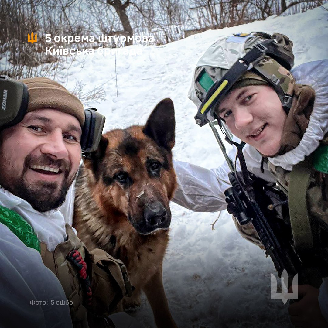 Alex Bond tweet media