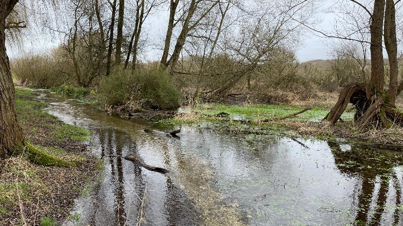 ColneCAN tweet media