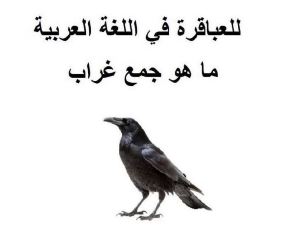 اجتماعي. tweet media