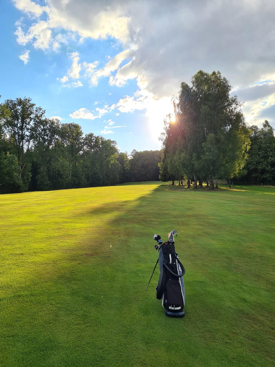 Namek237🇨🇲 tweet media