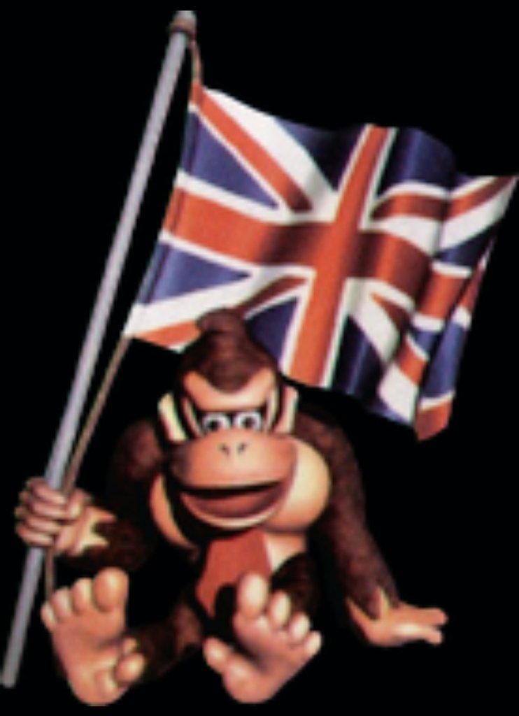 mirann_darrow's tweet photo. When your country gives us the world Donkey Kong Country and Iron Maiden, that's a good way to win the ApeGirl vote.
#VoteColin. God Save the Queen. https://t.co/RNerSRporZ