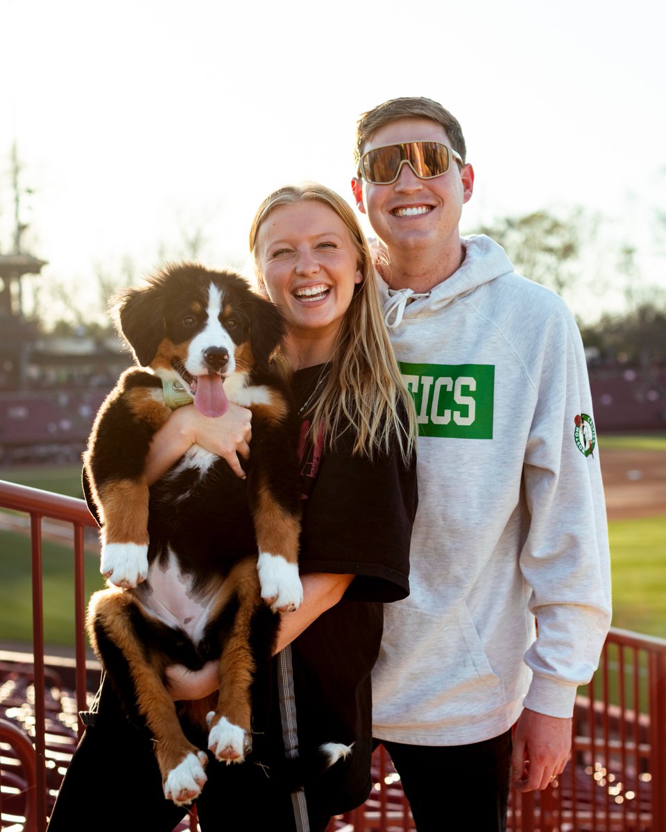 South Carolina Baseball tweet media