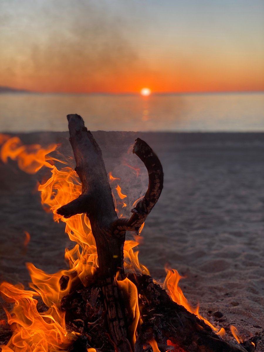 Unhustle® tweet media