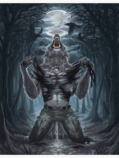 Mitchell Cox tweet media