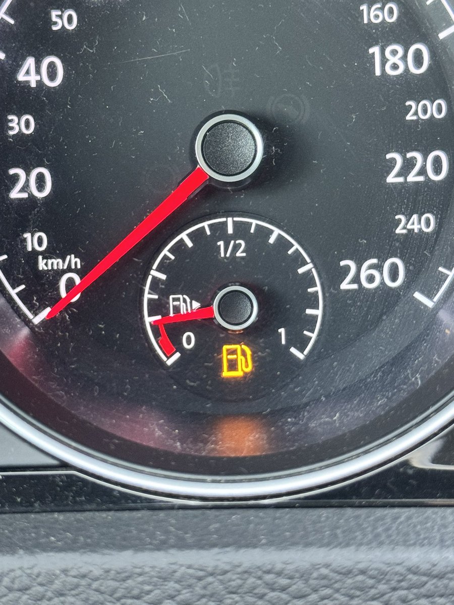 Angela Galloro tweet media