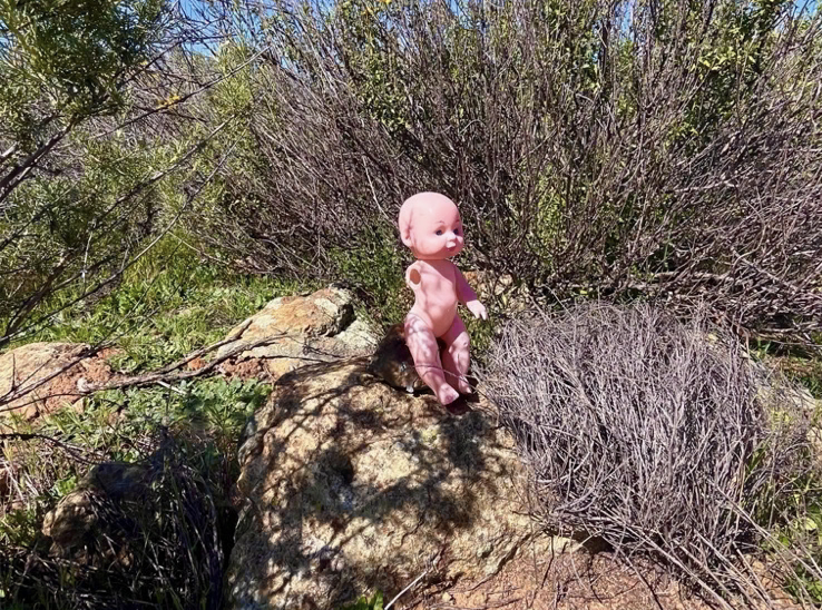 Soldier of Fortune Magazine tweet media