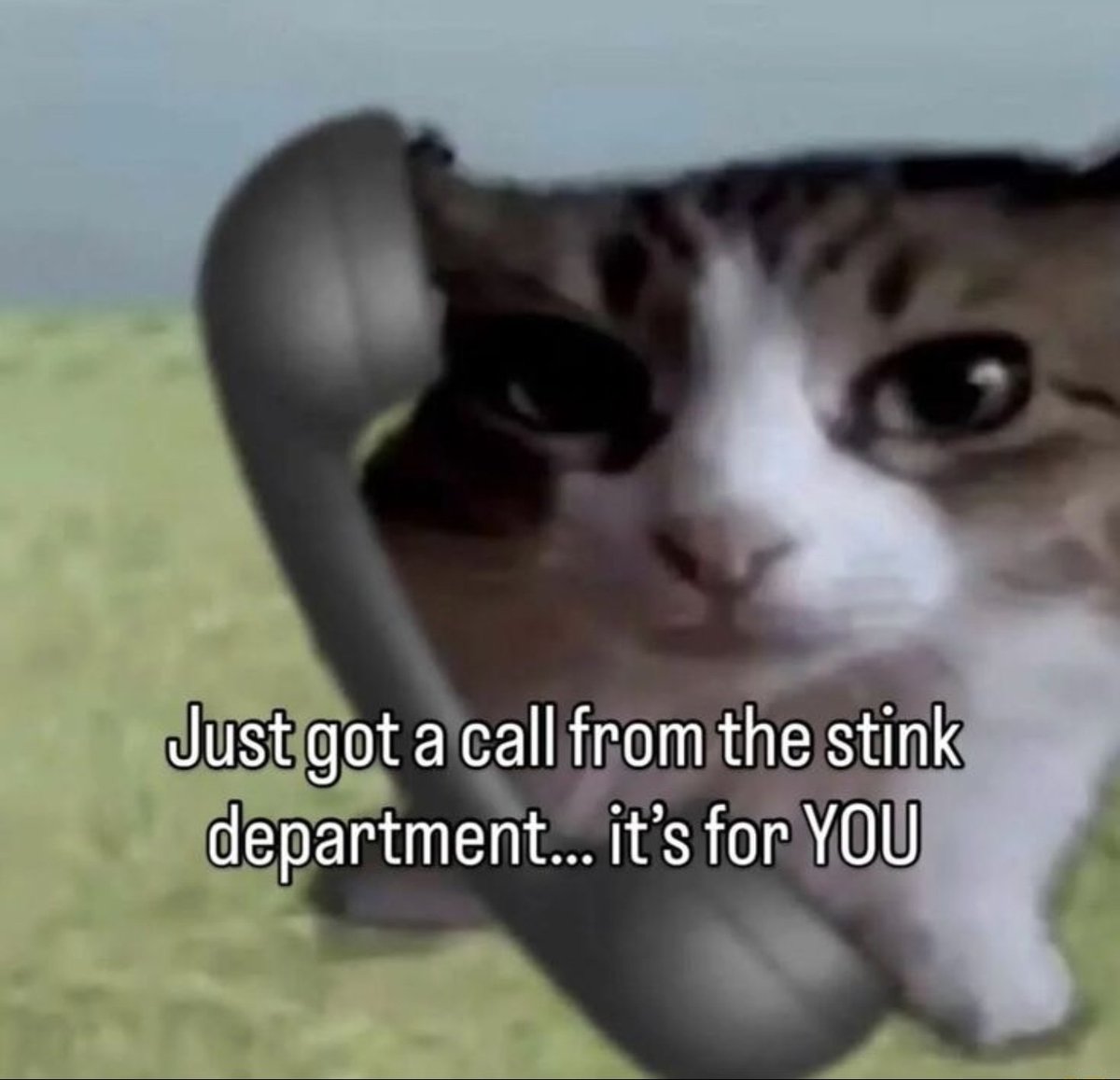 DoctorBell tweet media