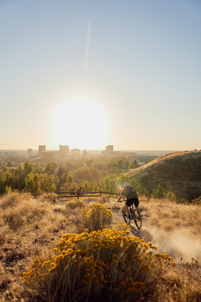 Visit Boise tweet media