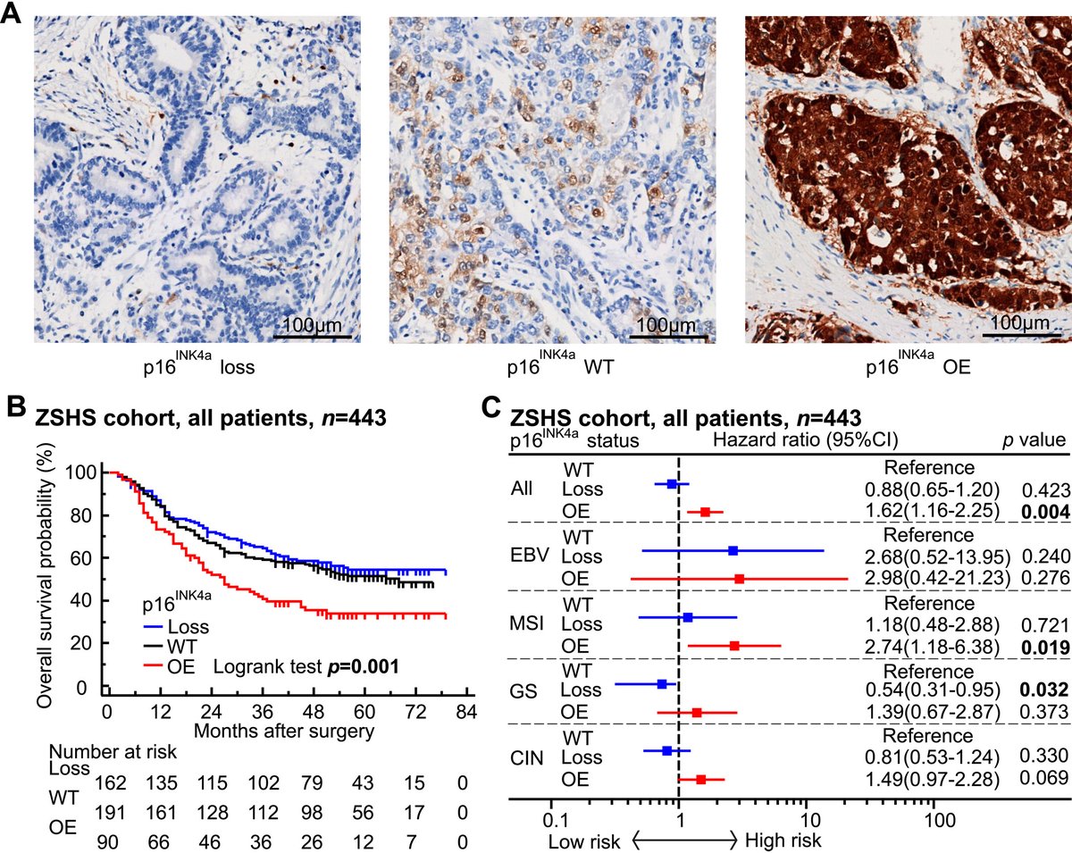 ACS Journal Cancer tweet media