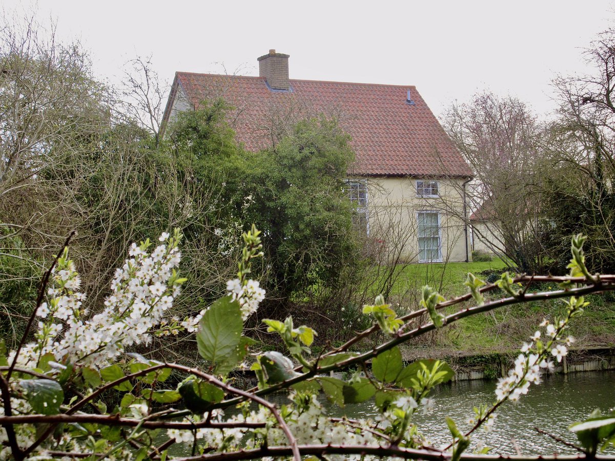 Susan Danielis Marshall tweet media