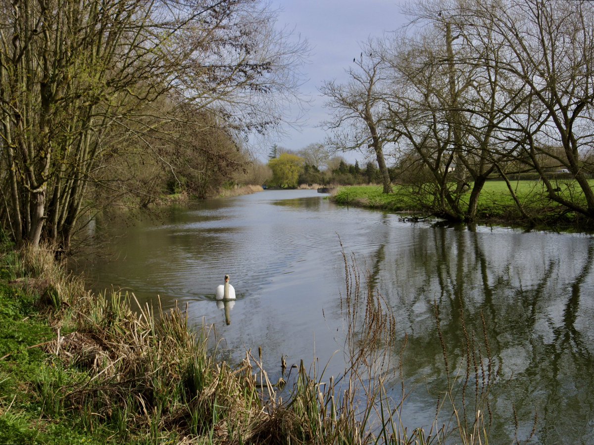 Susan Danielis Marshall tweet media