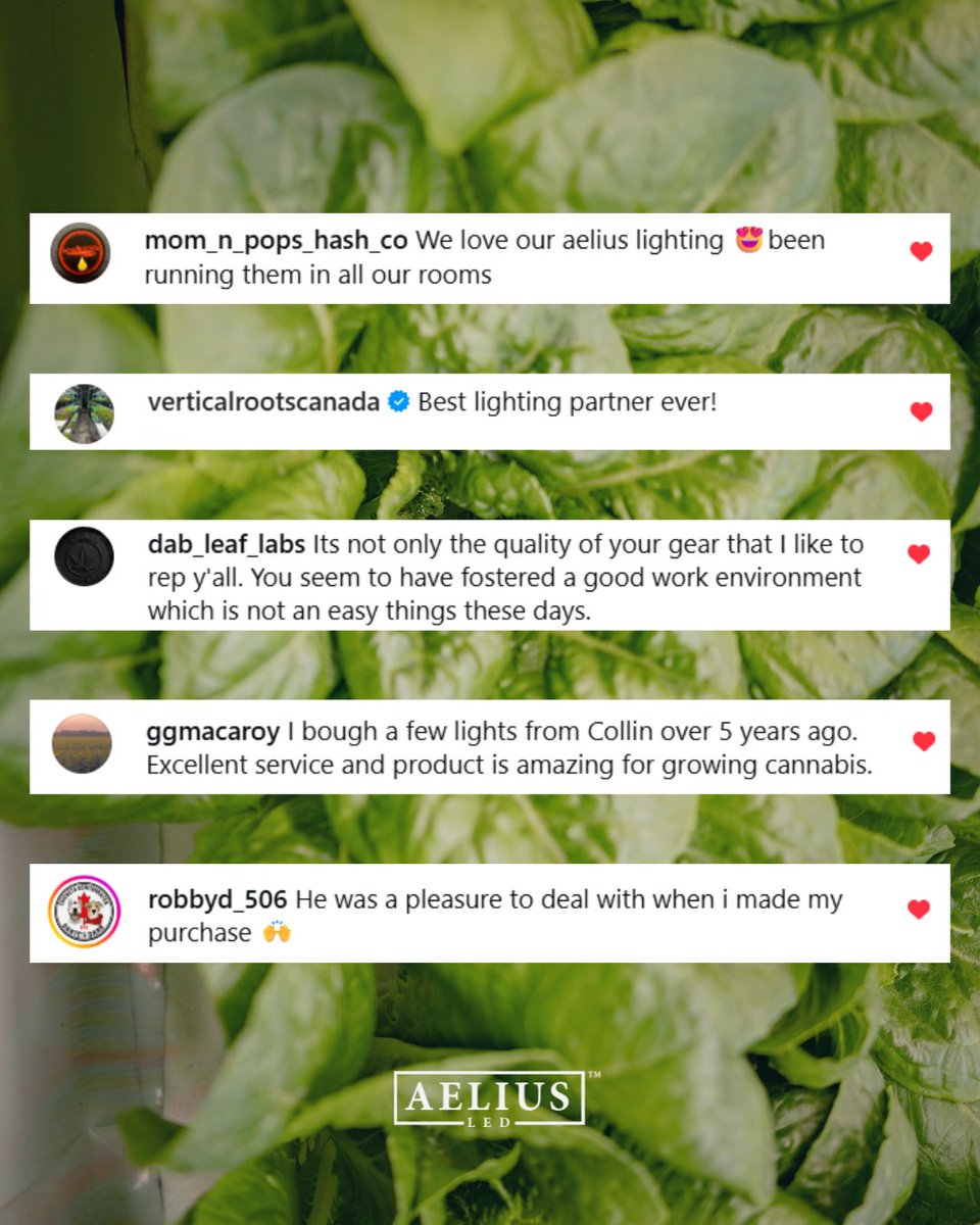 Aelius LED tweet media