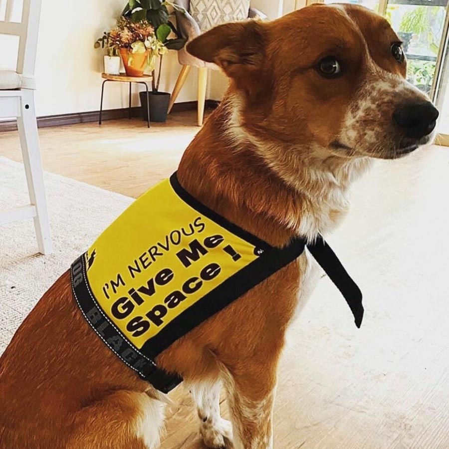 endowed jones tweet media