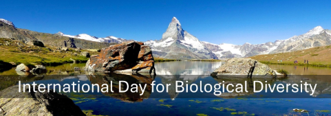 Cartagena Protocol tweet media