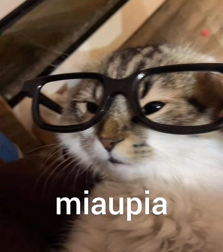 oCoffees_'s tweet photo. @mia_micropenis Ué https://t.co/uMOp3xGC5L