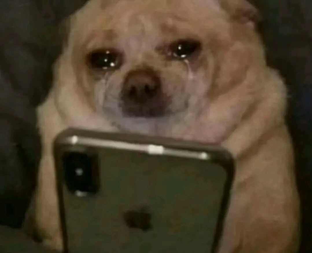 𖹭 - ia tweet media