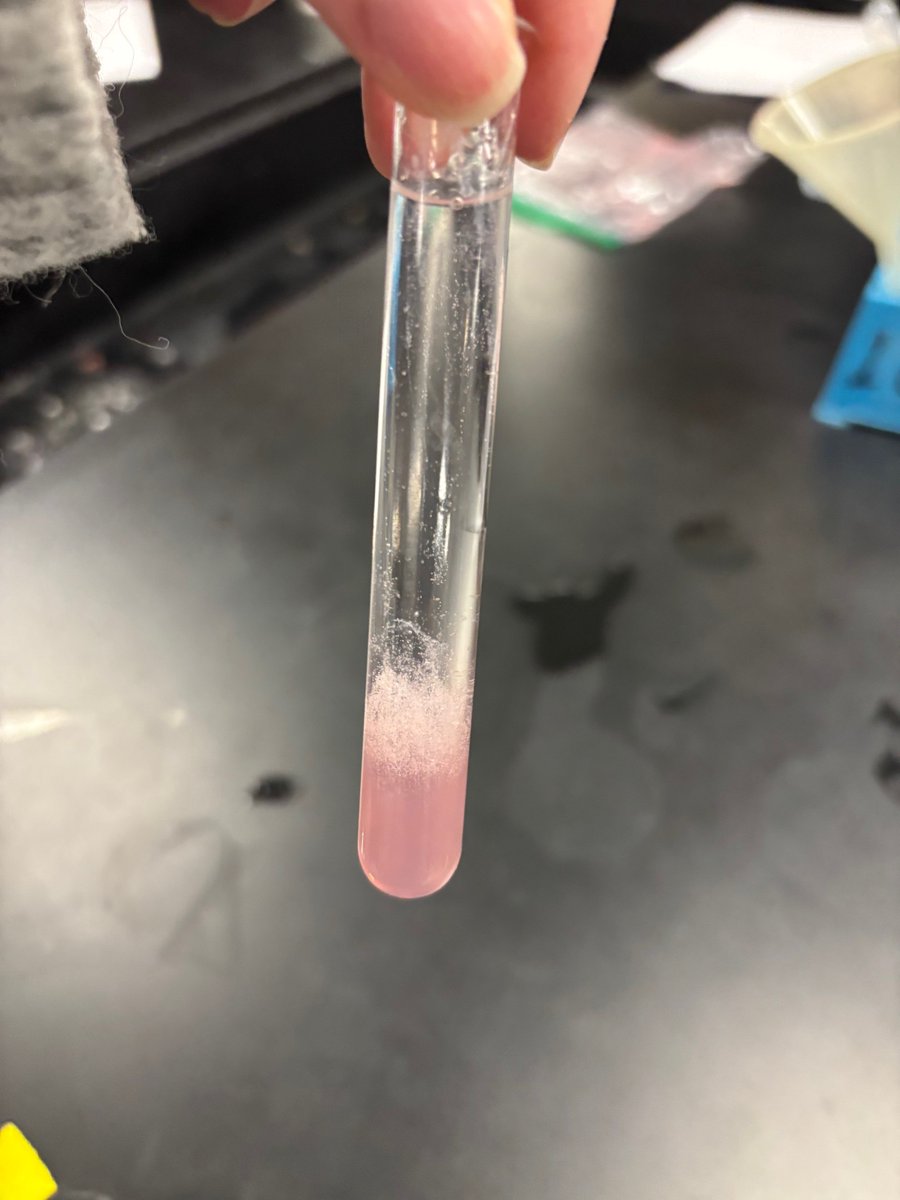 Xavier High School tweet media