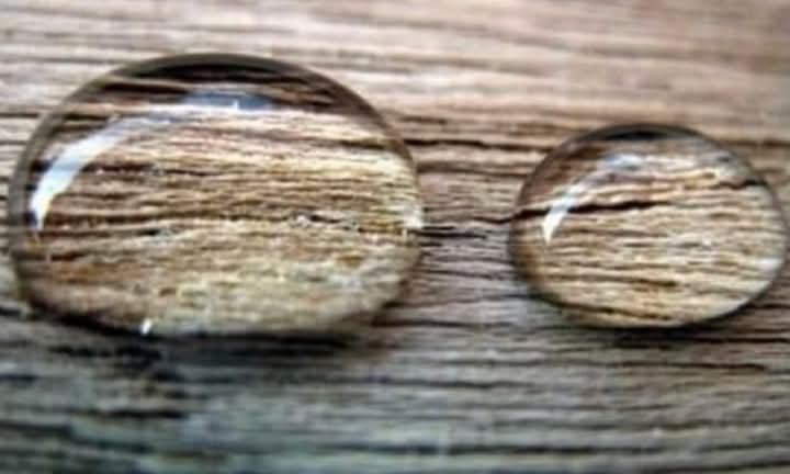 Delphine tweet media