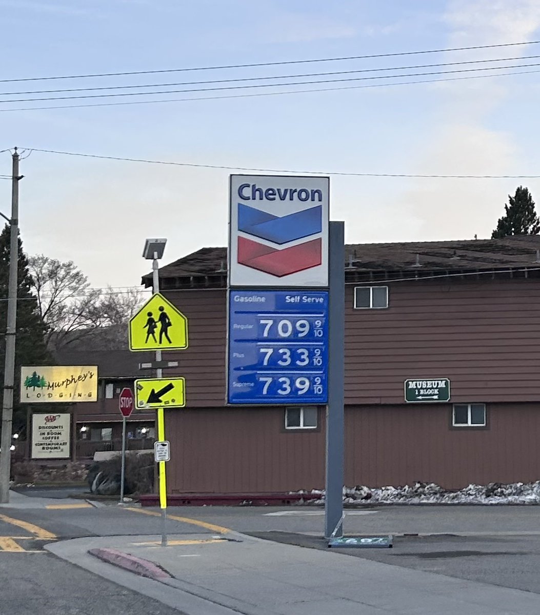 Ari Drennen tweet media