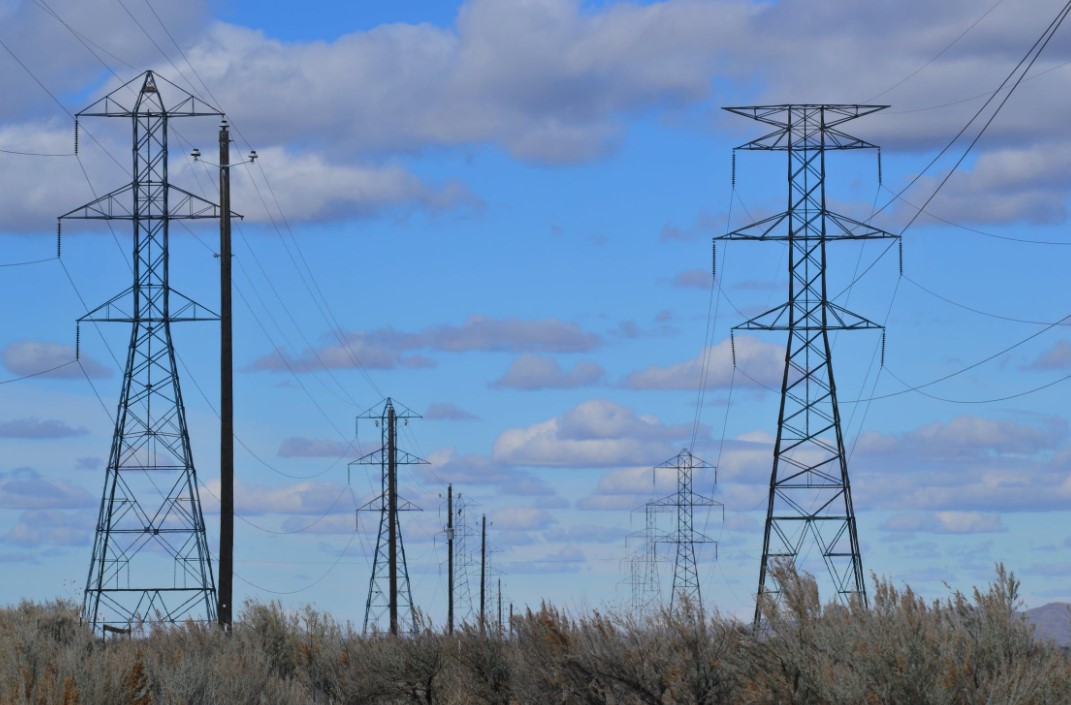 Bay Observer tweet media