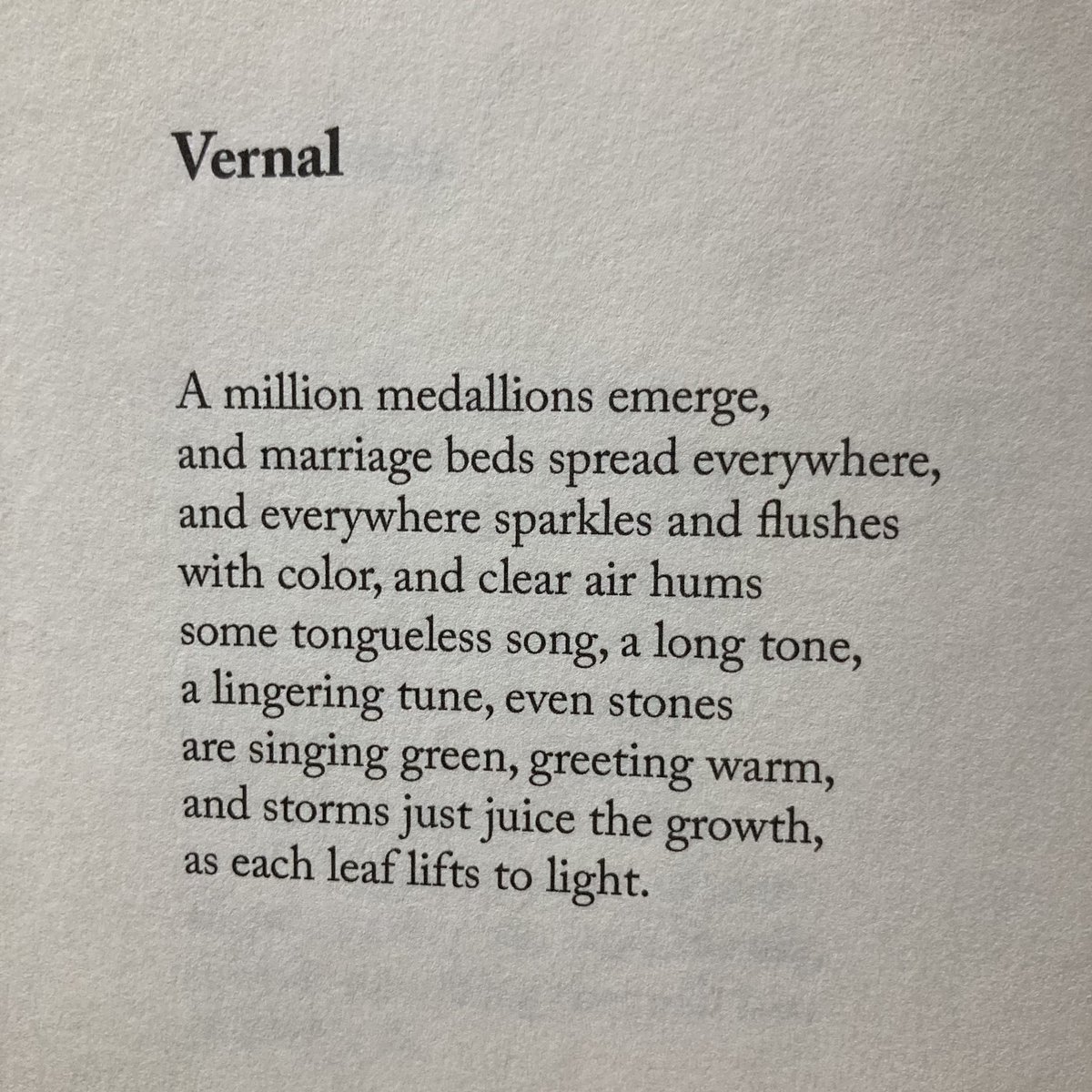 Steven Searcy tweet media