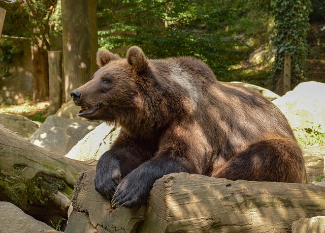 Jeff Oberlander tweet media