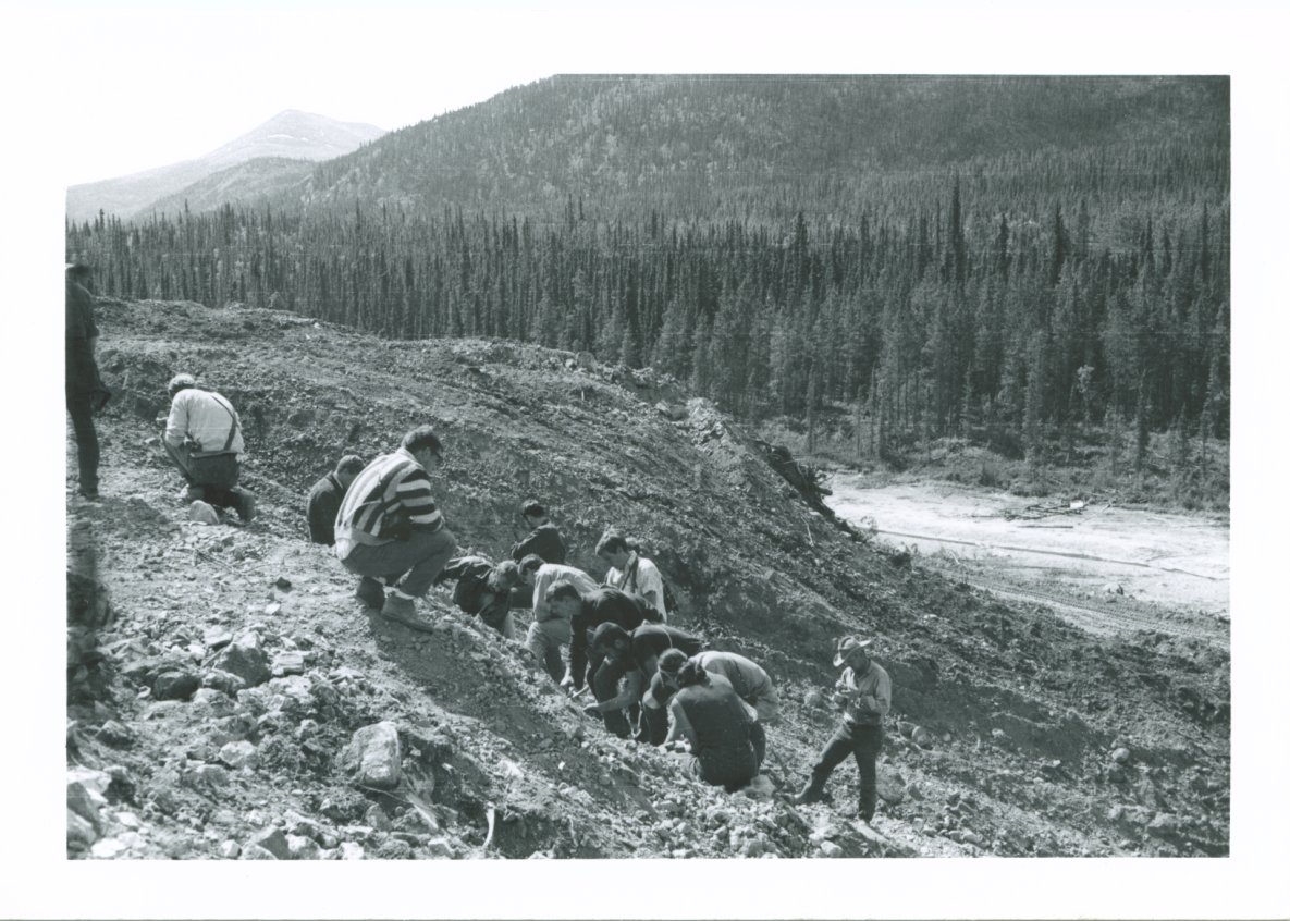 Gladiator Metals tweet media