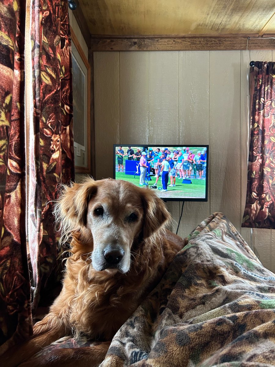 Bob Conrad tweet media