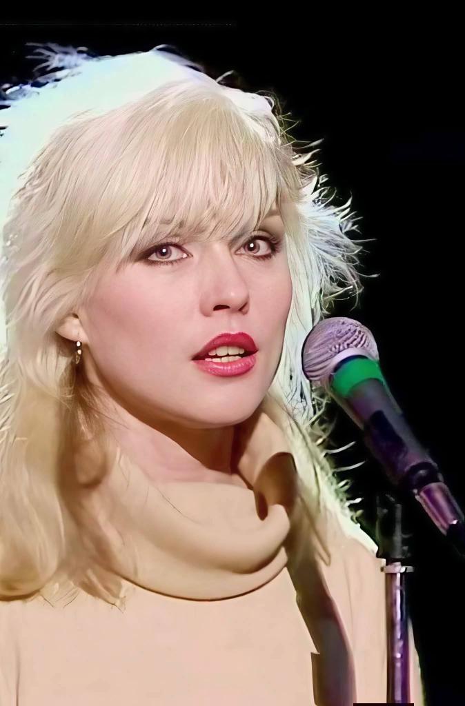 Gun Club Music tweet media