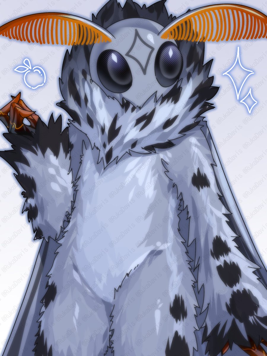 るか/Ruka tweet media