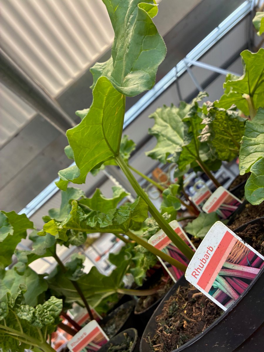 St Austell Garden Centre tweet media