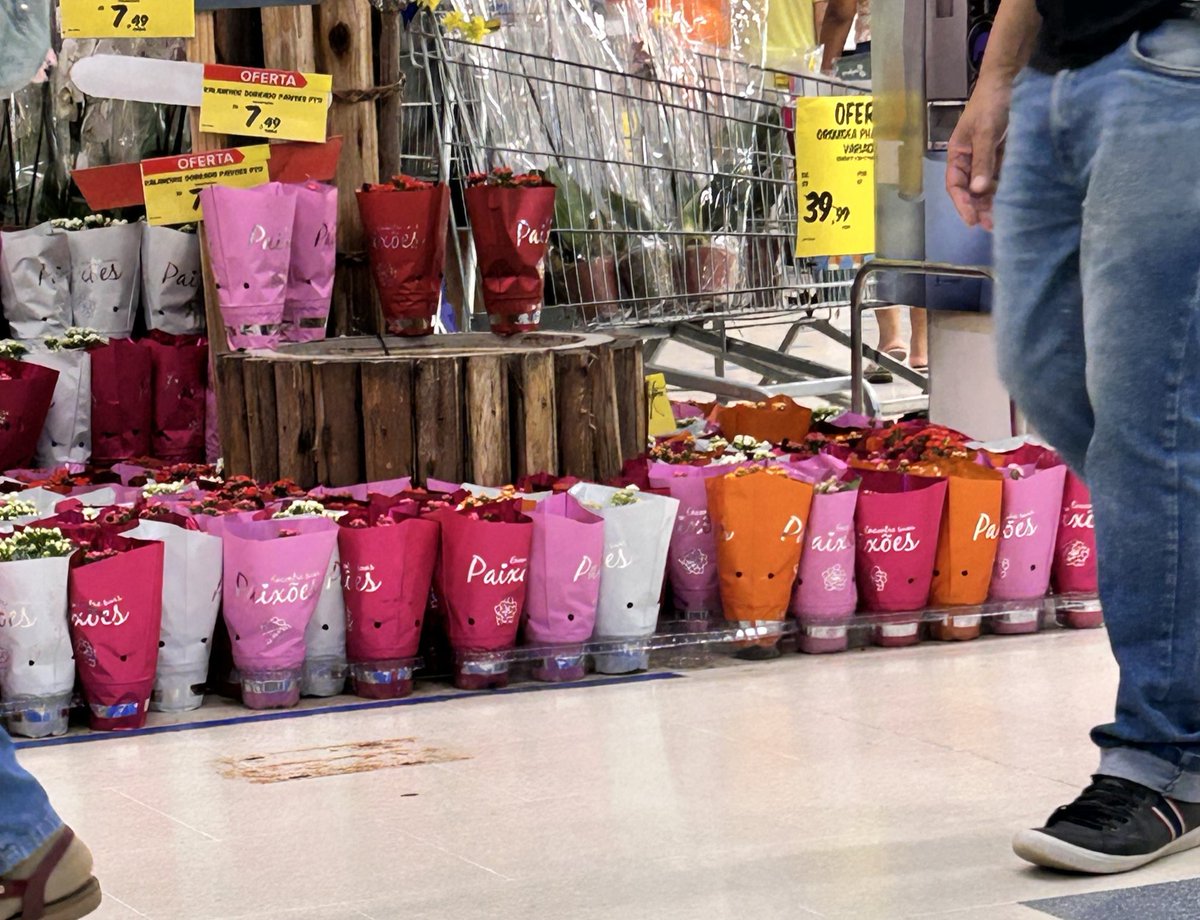 giovanna !! ⚢︎ 🧁💗🫧 tweet media