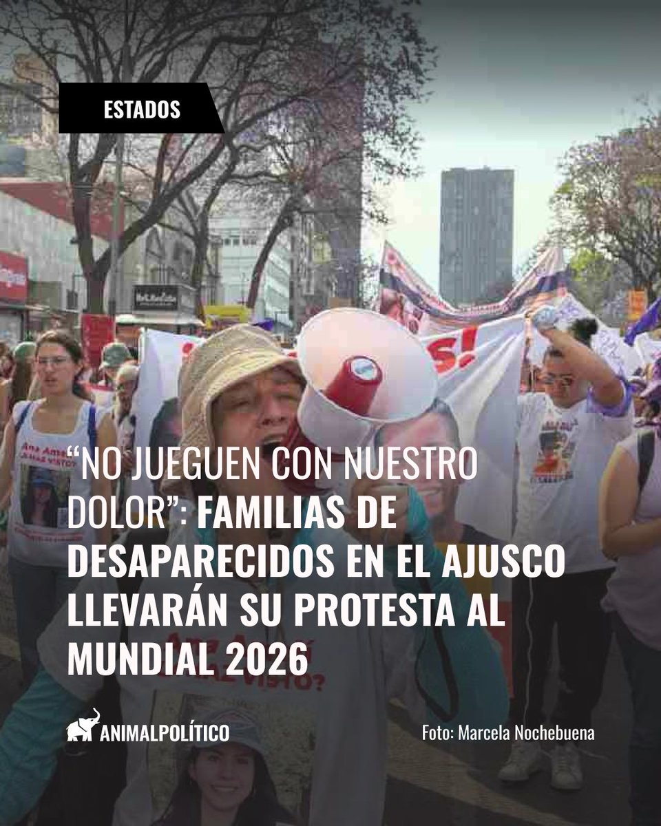 Animal Político tweet media