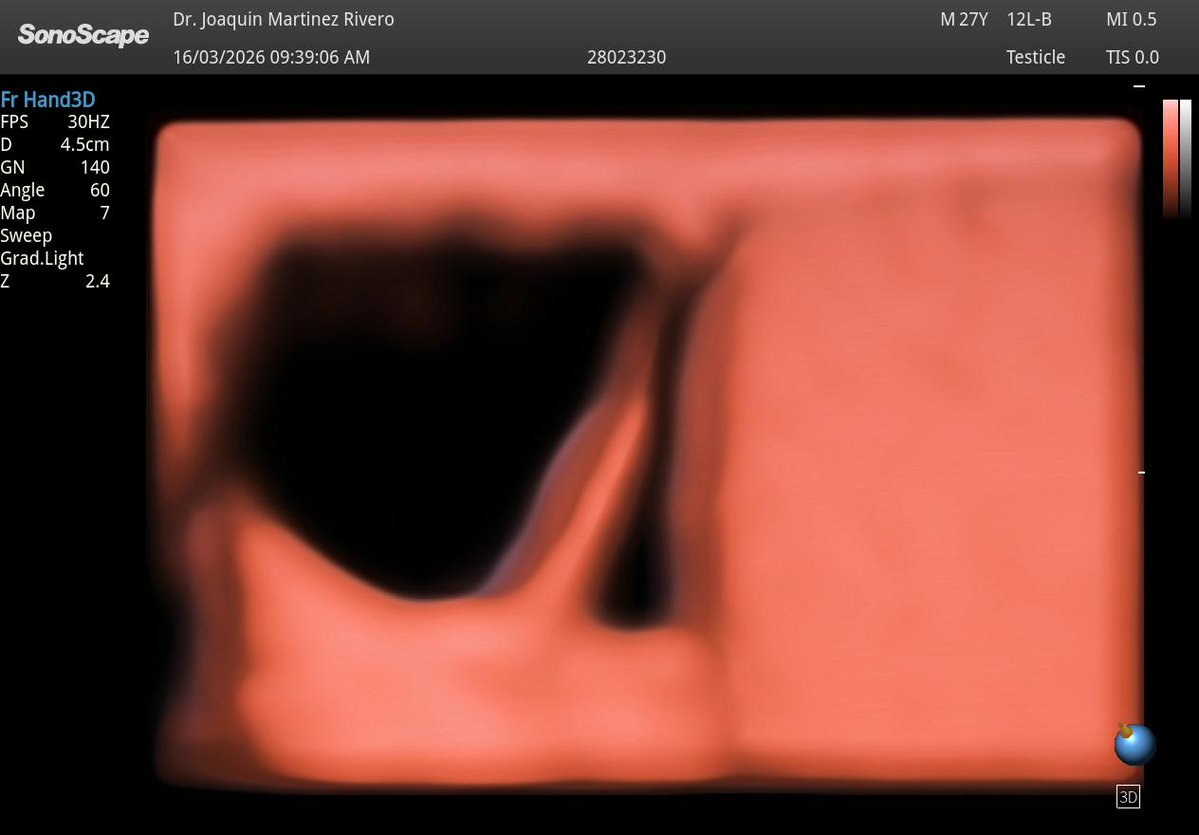 Joaquín Martínez tweet media