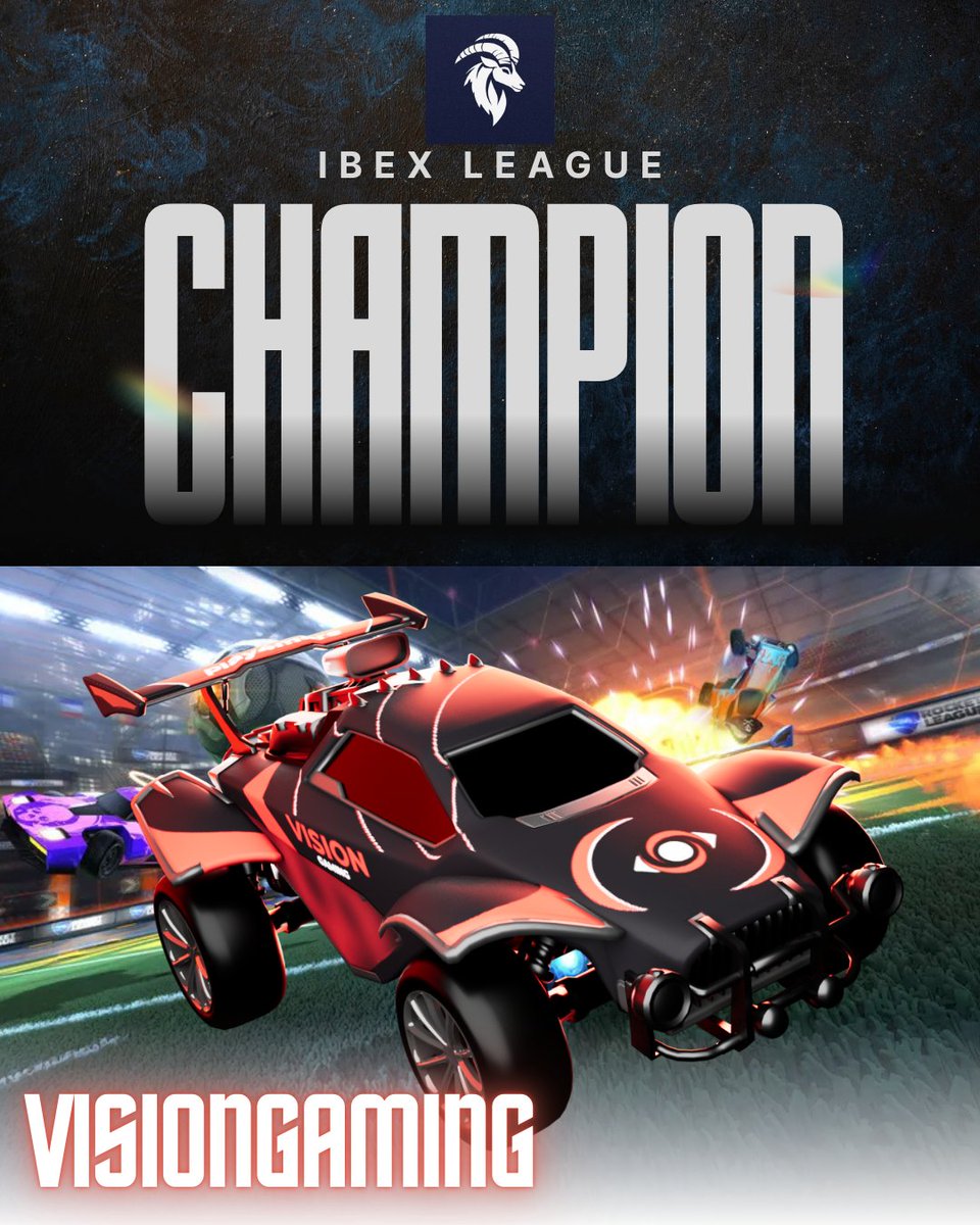 VisionGaming Switzerland tweet media