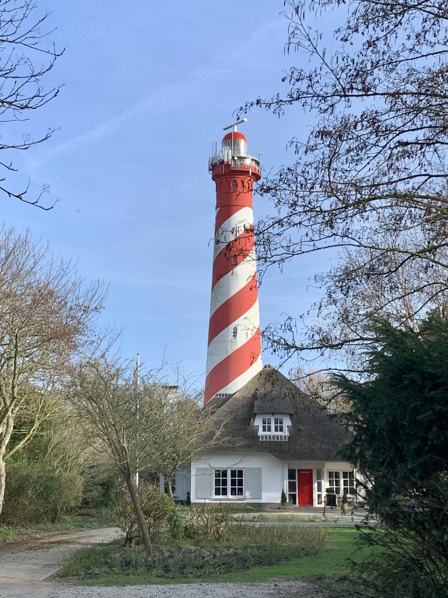 Meitje 🕊️ tweet media