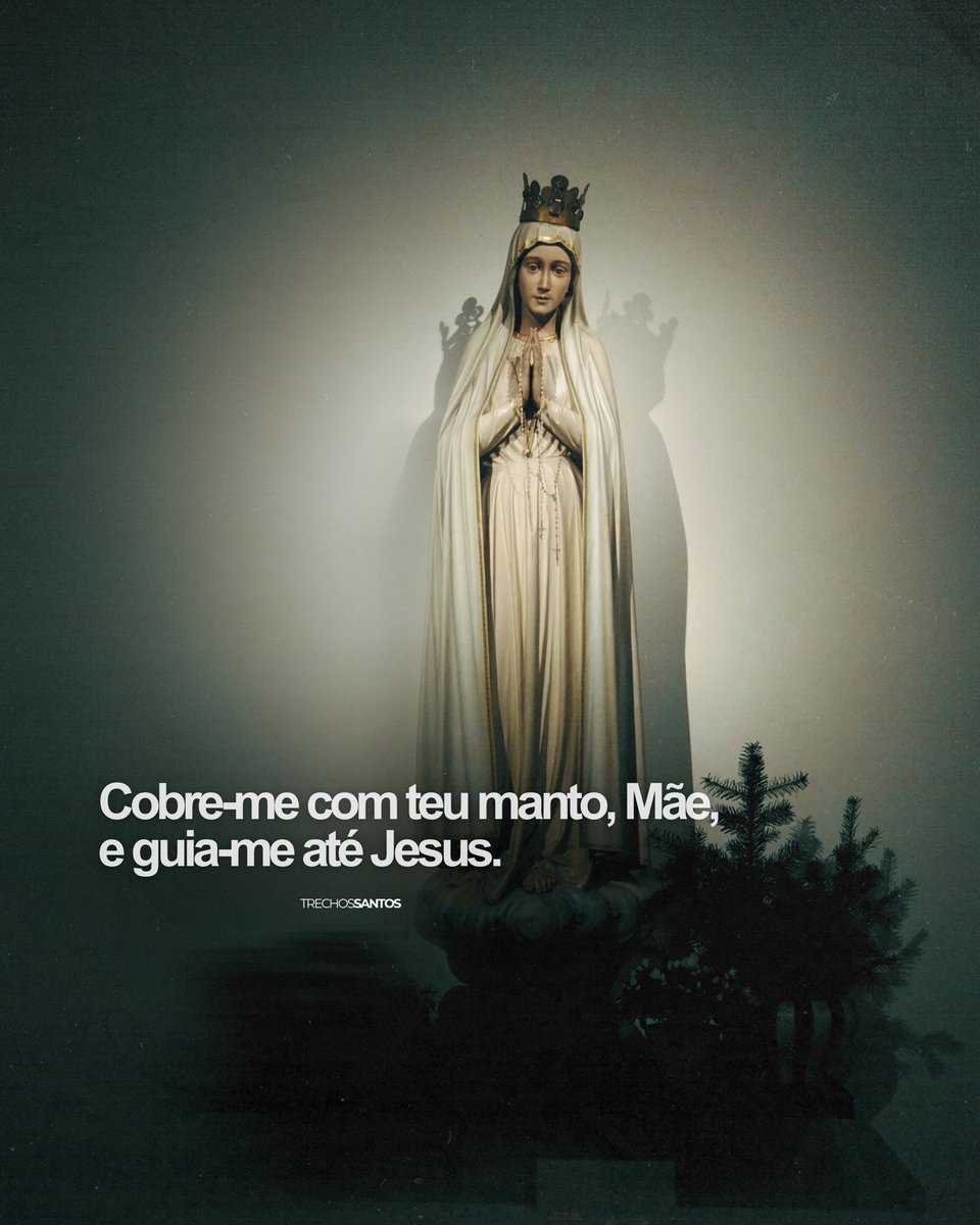 Mãe Santíssima, sob teu manto encontro abrigo. Protege-me e guia meus passos. Amém. 🙏🏼