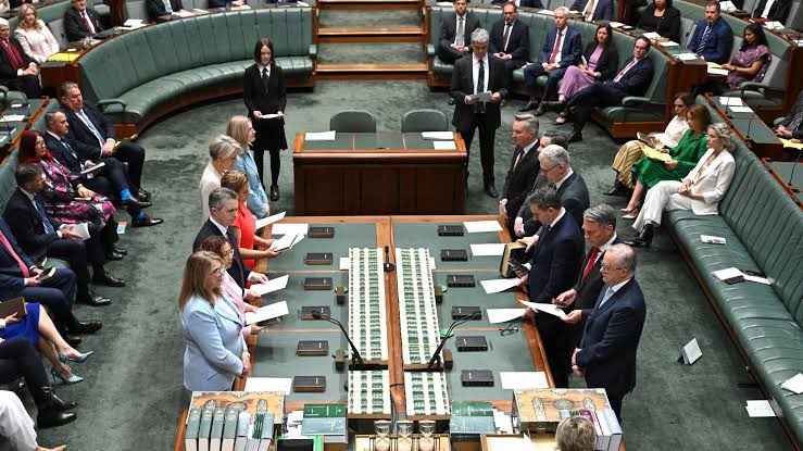 scottbolshevik's tweet photo. In Australia, dual citizens cannot serve in Parliament. Why should Ghana do otherwise? 

Under Section 44 of the Constitution, anyone who owes allegiance to another country is disqualified from holding office.

In 2017, several MPs were forced to resign after it was discovered they held foreign citizenship.