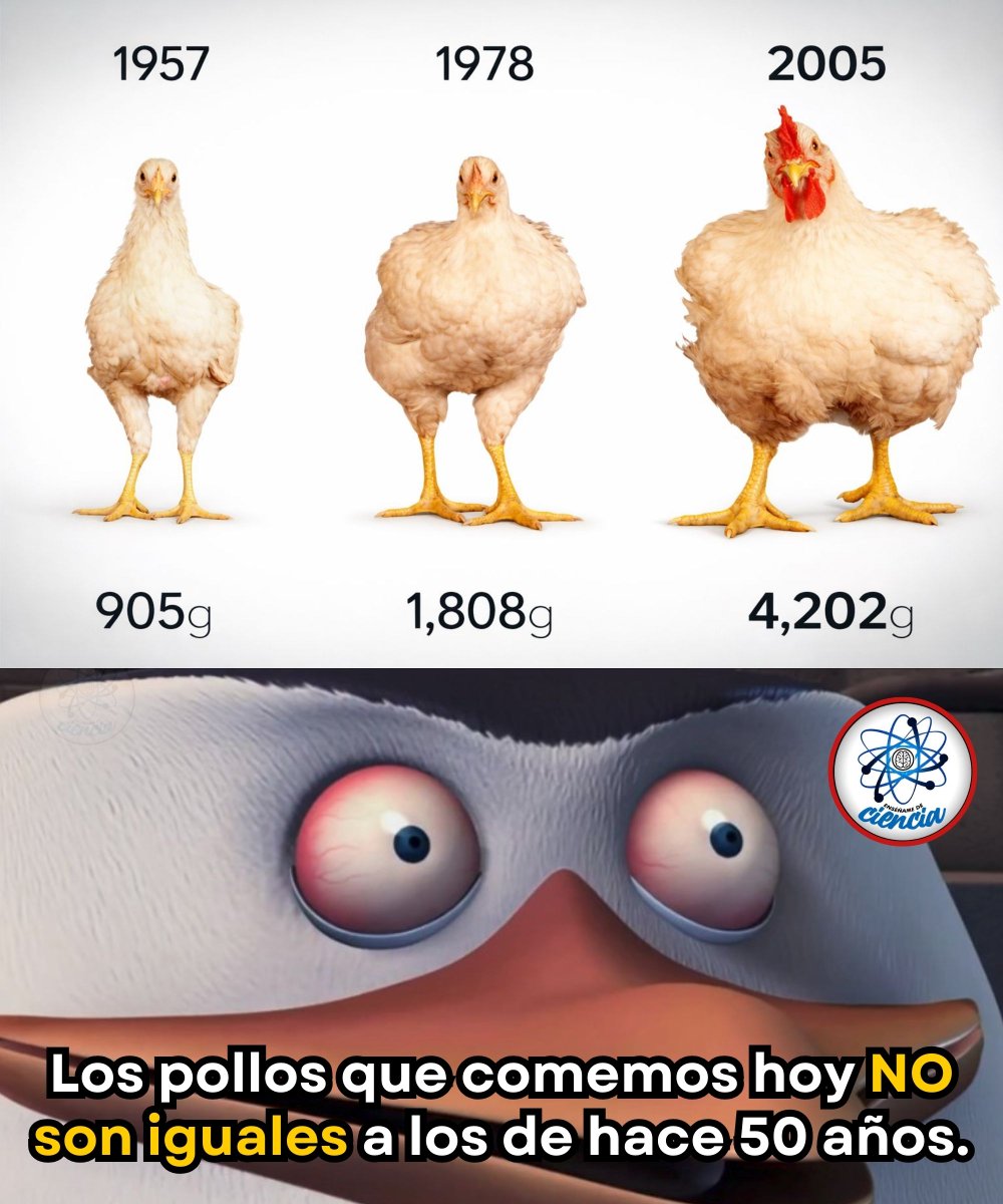 Enséñame de Ciencia tweet media