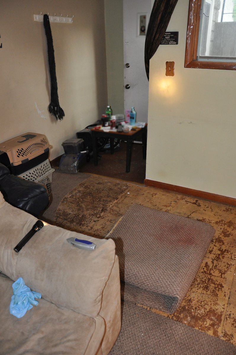 Sword and Scale tweet media