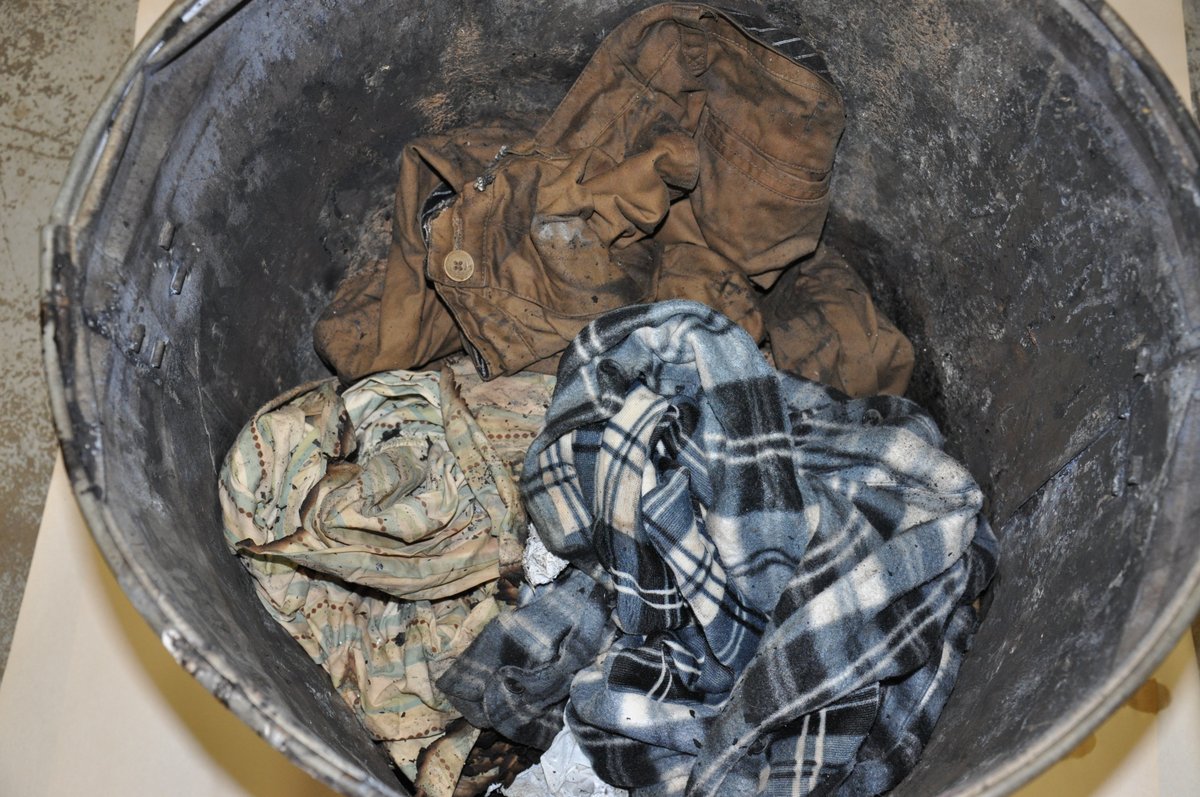 Sword and Scale tweet media