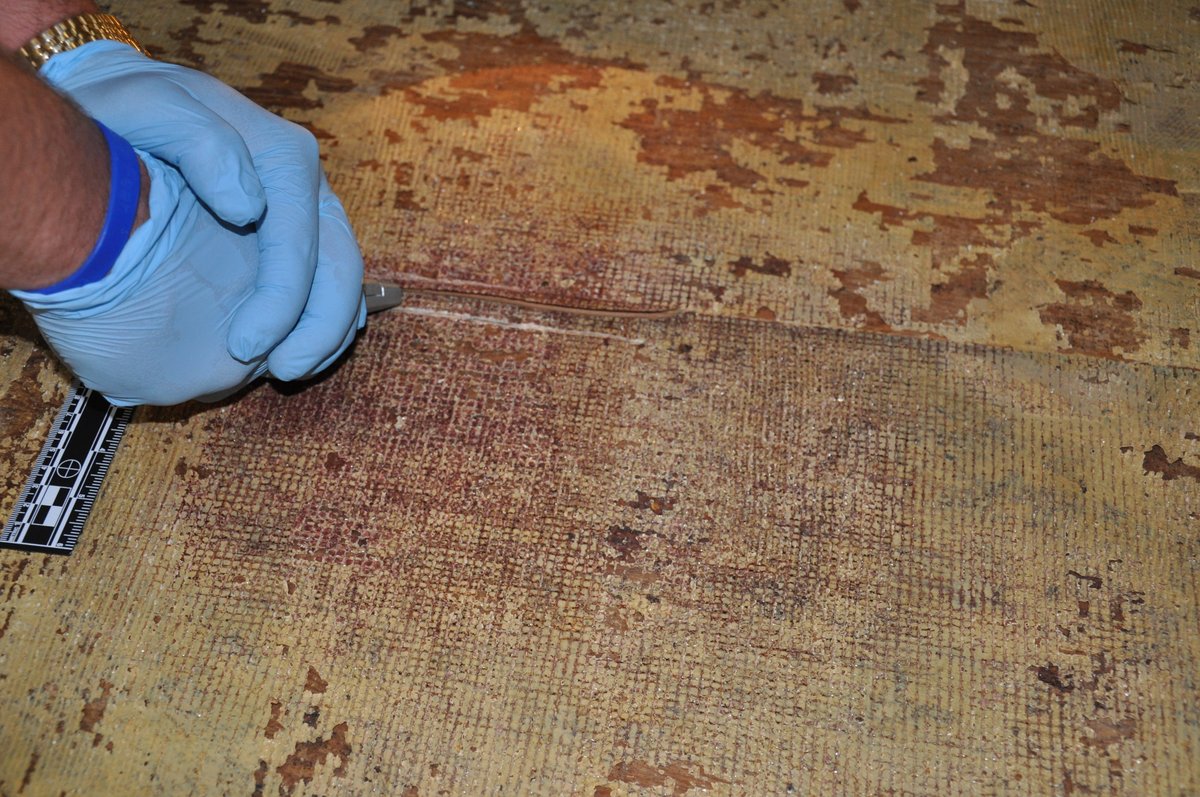 Sword and Scale tweet media