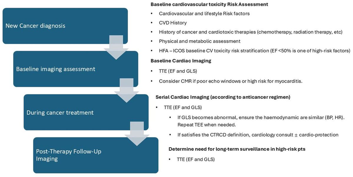 Cardiac imaging in oncology: the detection of cardiotoxicity

In this episode of the Heart podcast, Digital Media Editor, Professor James Rudd, is joined by Professor Kazuaki Negishi from Sydney, Australia. They discuss the optimal use of imaging to detect cardiac effects of