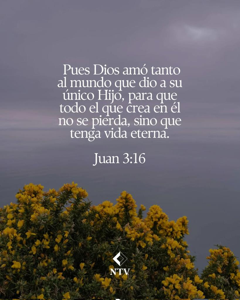 Maco_Rodas's tweet photo. 🙏 https://t.co/oQURHKnmru