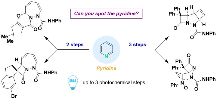 Clément Ghiazza tweet media