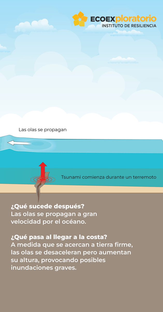 ECOEXPLORATORIO tweet media