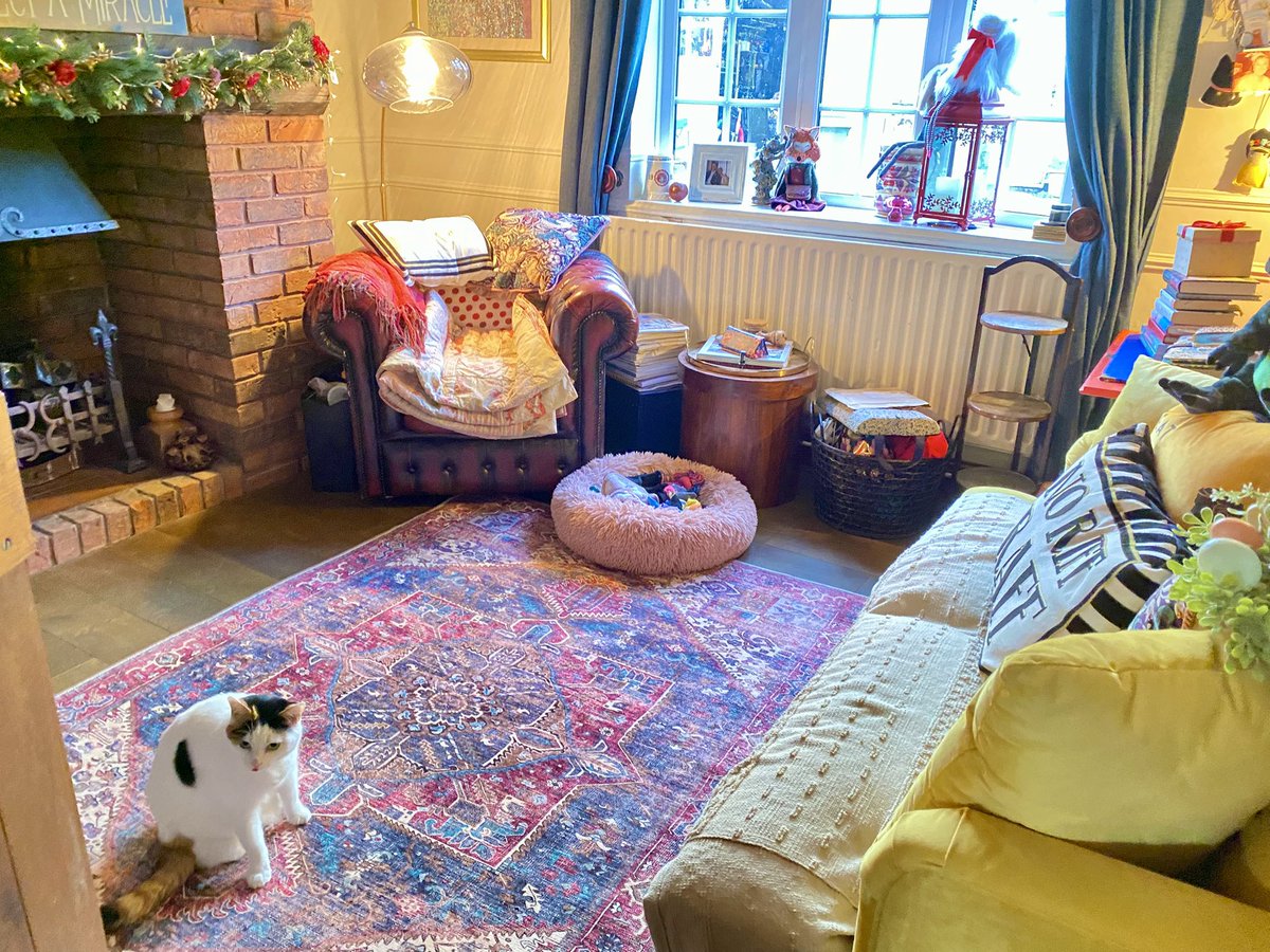 hayleylotusflo1's tweet photo. Finally a new rug down in the study. I promise to take one of the bookshelves too. #readingcorner https://t.co/M9x2IeqOzD