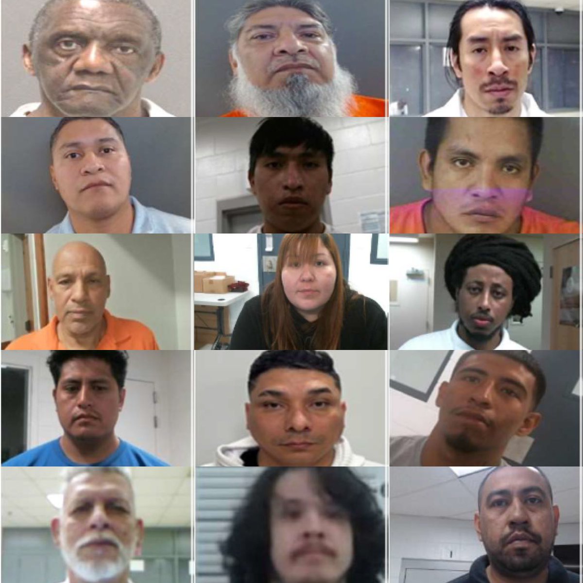 Libs of TikTok tweet media