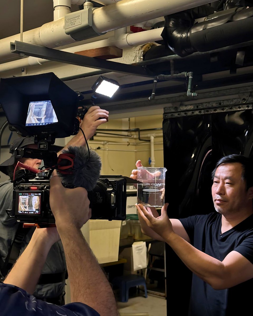 Hubbs-SeaWorld Research Institute tweet media