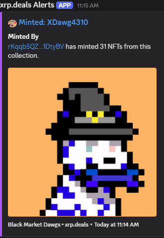 🐾 Black Market Dawgs 🐾 tweet media